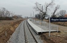 Widok na peron na przystanku Rogów Sobócki, fot. P. Mieszkowski, A. Lewandowski