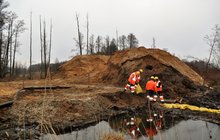 Pracownicy prowadzą prace przy przebudowie na linii Wieliszew-Zegrze Południowe fot. Anna Znajewska-Pawluk PLK