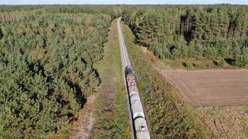 Pociąg towarowy jedzie przez las, fot. Artur Lewandowski PKP Polskie Linie Kolejowe SA