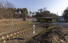 Autobus na przejeździe na ul. Golęcińskiej w Poznaniu, na pierwszym planie tory i oznakowanie, na górze sieć trakcyjna_fot.Łukasz Bryłkowski