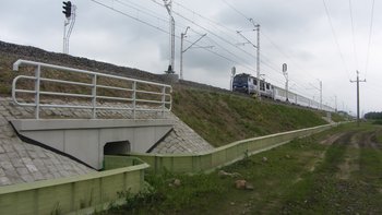 Przejeżdżający pociąg, pod torami przejście dostosowane do wędrówek zwierząt