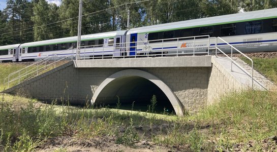 Obiekt na linii kolejowej Poznań - Szczecin dostosowany do migracji zwierząt, fot. Iwona Kriger (1)