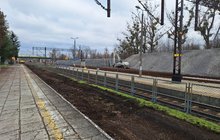 Prace na stacji Tarnobrzeg - fot. Mariusz Kucharski.