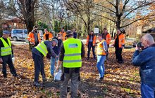 Sadzenie drzew w Rabce-Zdroju, fot. Piotr Hamarnik