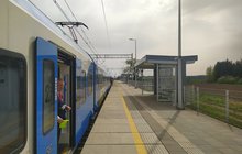 Pociąg przy peronie w Morzycy_fot. Bartosz Pietrzykowski (1)