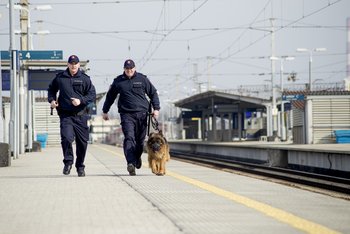 Zdjęcie do informacji prasowej - funkcjonariusze SOK