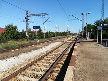 Tory oraz perony w Orzechowie fot. Katarzyna Kubiak