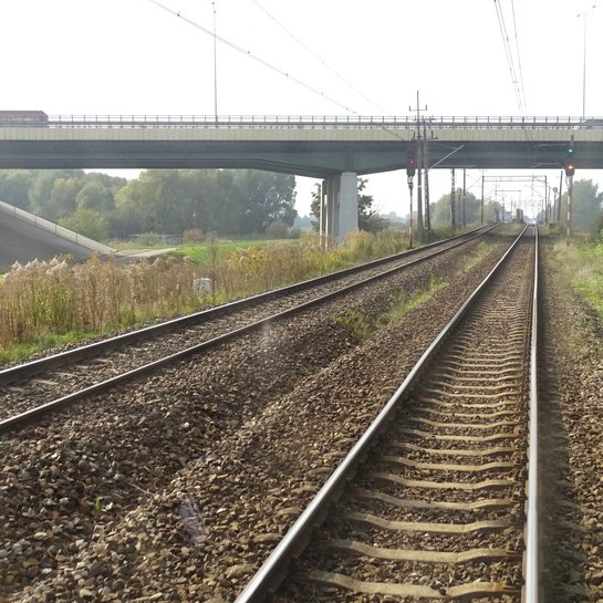 Tory na szlaku Elbląg - Tropy i wiadukt drogowy w tle. fot. Andrzej Puzewicz PLK