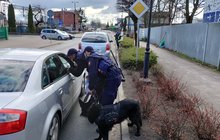 Patrol SOK rozdaje ulotki na przejeździe kolejowo-drogowym w Pelpinie fot. Przemysław Zieliński
