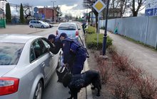 Patrol SOK rozdaje ulotki na przejeździe kolejowo-drogowym w Pelpinie fot. Przemysław Zieliński